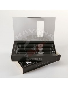 Zino Platinum Scepter Grand Master Tubos - купить в интернет-магазине Havana Smoke