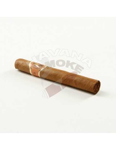 AVO XO Notturno - купить в интернет-магазине Havana Smoke