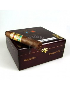 Paradiso Papagayo XXL - купить в интернет-магазине Havana Smoke