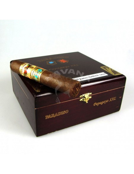 Paradiso Papagayo XXL - купить в интернет-магазине Havana Smoke