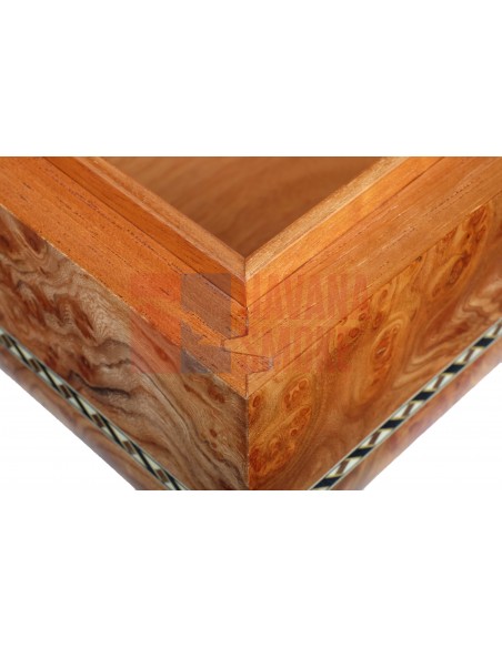 Хьюмидор Gentili SV50-Elm-Matt - купить в интернет-магазине Havana Smoke