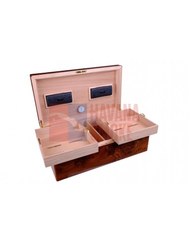 Хьюмидор Gentili Natura Morta на 200 сигар (инкрустация) - купить в интернет-магазине Havana Smoke