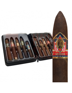 CAO Champions II Sampler (набор из 10 сигар в дорожном хьюмидоре) - купить в интернет-магазине Havana Smoke