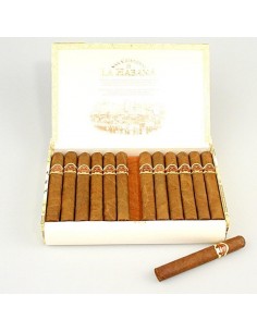 S.CRISTOBAL DE LA HABANA LA FUERZA VINTAGE (коробка 25 сигар) - купить в интернет-магазине Havana Smoke
