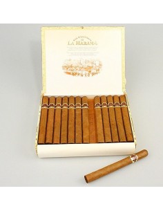 S.CRISTOBAL DE LA HABANA EL MORRO VINTAGE (коробка 25 сигар) - купить в интернет-магазине Havana Smoke