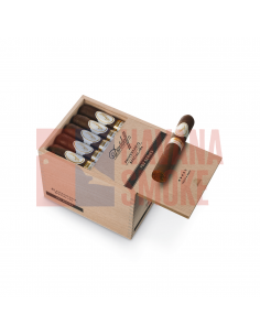 Davidoff Aniversario Special R 702 Series - купить в интернет-магазине Havana Smoke