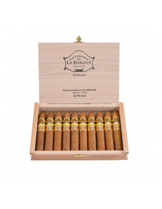 San Cristóbal de La Habana Prado - купить в интернет-магазине Havana Smoke