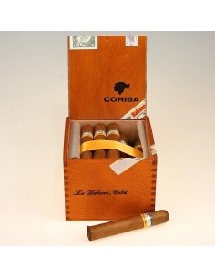 COHIBA ROBUSTOS - купить в интернет-магазине Havana Smoke