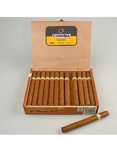 COHIBA ESPLENDIDOS - купить в интернет-магазине Havana Smoke