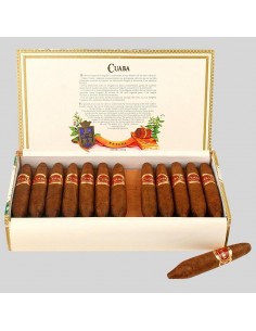 CUABA DIVINOS - купить в интернет-магазине Havana Smoke