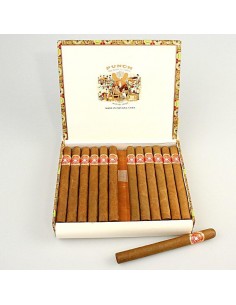 PUNCH DOUBLE CORONAS - купить в интернет-магазине Havana Smoke