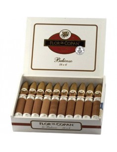 FLOR DE COPAN BELICOSO - купить в интернет-магазине Havana Smoke