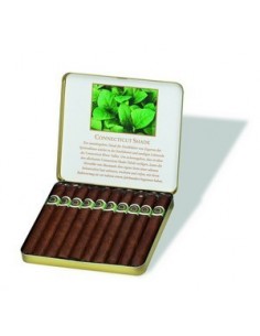 MACANUDO CAFE ASCOT пачка 10 штук - купить в интернет-магазине Havana Smoke