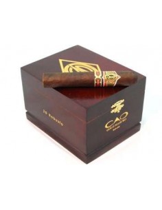 CAO Gold Robusto - купить в интернет-магазине Havana Smoke