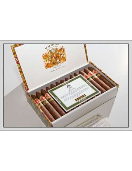 PUNCH SERIE D'ORO №2 - 2013 LIMITED EDITION - купить в интернет-магазине Havana Smoke