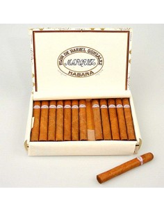 RAFAEL GONZALES PETIT CORONAS - купить в интернет-магазине Havana Smoke