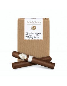 Davidoff White Edition 2012 Robusto Gordo - купить в интернет-магазине Havana Smoke