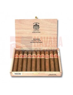 Punch Short de Punch - купить в интернет-магазине Havana Smoke