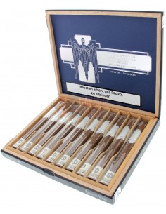 Principle Aviator Patrie