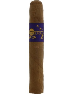 Principle Accomplice Corojo Robusto - купить в интернет-магазине Havana Smoke