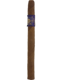 Principle Accomplice Corojo Lancero - купить в интернет-магазине Havana Smoke