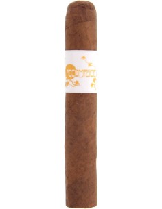 Principle Accomplice Classic Robusto - купить в интернет-магазине Havana Smoke
