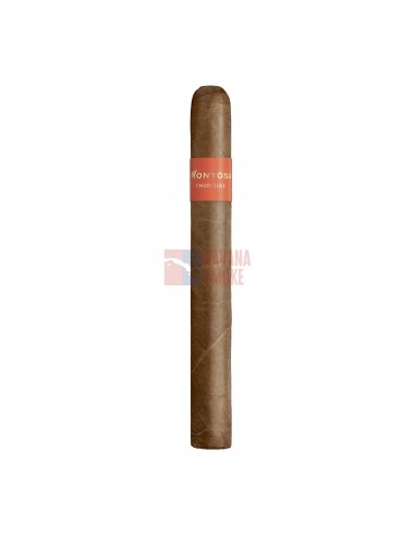 Montosa Churchill - купить в интернет-магазине Havana Smoke