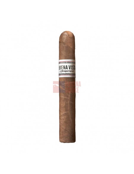 Buena Vista Araperique Robusto - купить в интернет-магазине Havana Smoke