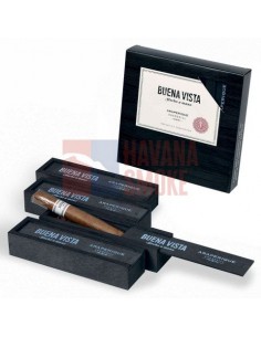 Buena Vista Araperique Churchill - купить в интернет-магазине Havana Smoke