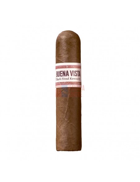Buena Dark Fired Kentucky Short Robusto - купить в интернет-магазине Havana Smoke