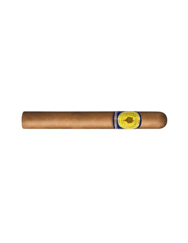 Santa Damiana Coronа