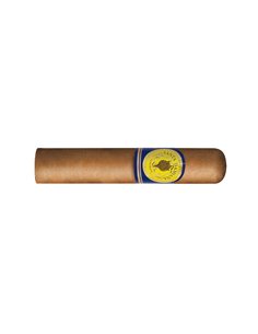 Santa Damiana Robusto