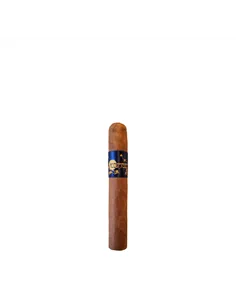 Principle Accomplice Connecticut Robusto - купить в интернет-магазине Havana Smoke