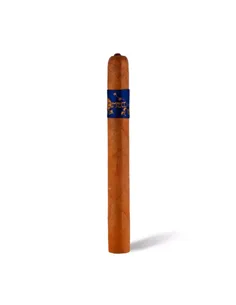 Principle Accomplice Connecticut Toro - купить в интернет-магазине Havana Smoke