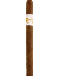 Principle Accomplice Classic Robusto - купить в интернет-магазине Havana Smoke