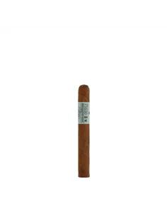 Principle Archive Line Collection Straphanger Mareva