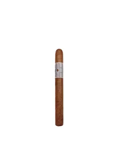 Principle Archive Line Collection Straphanger Corona Gorda