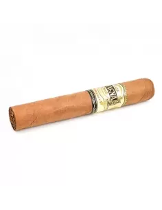 CASA MAGNA - CONNECTICUT ROBUSTO