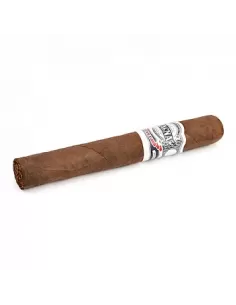 CASA MAGNA - OSCURO TORO