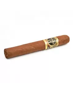 CASA MAGNA - XV ANNIVERSARY