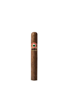 Joya de Nicaragua Antano Original Alisado