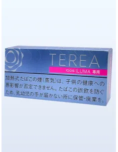 Стики TEREA Balanced Regular Япония (блок)