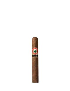 Сигара Joya de Nicaragua ANTAÑO Original 1970 Robusto Grande