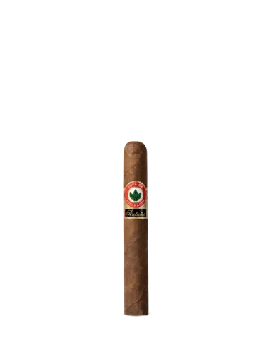 Сигара Joya de Nicaragua ANTAÑO Original 1970 Robusto Grande