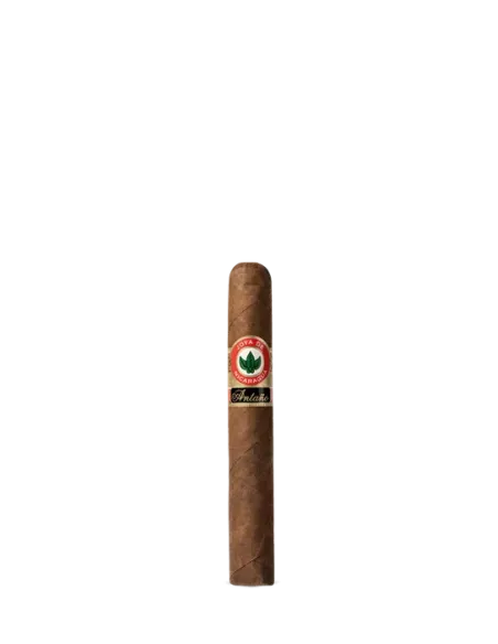 Сигара Joya de Nicaragua ANTAÑO Original 1970 Robusto Grande