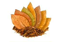 Ферментация табака: Почему дешевая сигара горчит, а дорогая дарит сладость?