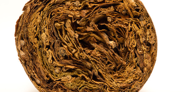 Инженерия вкуса: Полное руководство по строению сигары